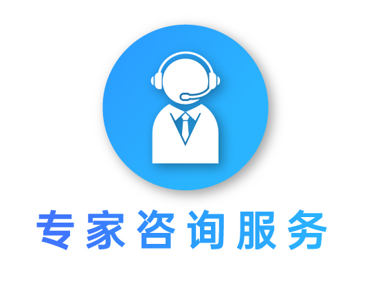 专家咨询服务